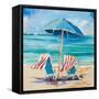 Caribbean Delight-Jane Slivka-Framed Stretched Canvas