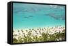 Caribbean, Dominican Republic, La Altagracia Province, Punta Cana, Bavaro-Alex Robinson-Framed Stretched Canvas