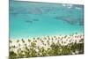 Caribbean, Dominican Republic, La Altagracia Province, Punta Cana, Bavaro-Alex Robinson-Mounted Photographic Print