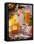 Caribbean Drinks with Rum: Ti Punch, Ti Doudou & Rum Sour-null-Framed Stretched Canvas