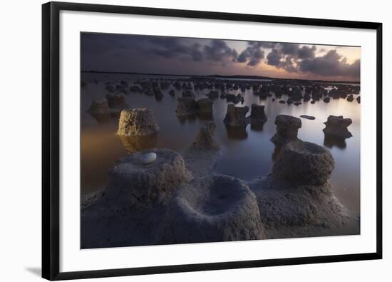 Caribbean flamingo abandoned egg, Yucatan, Mexico-Claudio Contreras-Framed Photographic Print