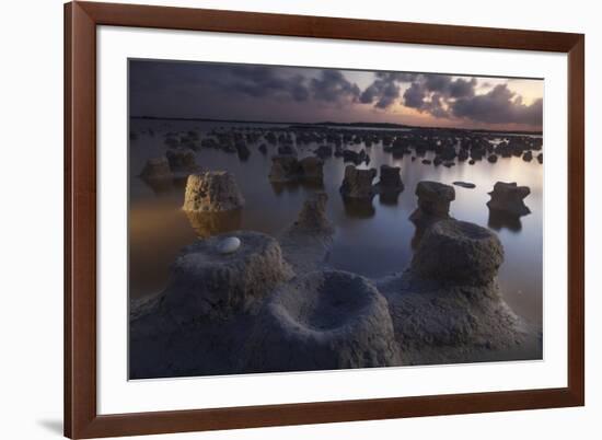 Caribbean flamingo abandoned egg, Yucatan, Mexico-Claudio Contreras-Framed Photographic Print