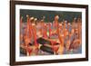 Caribbean flamingo courtship display, Yucatan, Mexico-Claudio Contreras-Framed Photographic Print