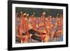 Caribbean flamingo courtship display, Yucatan, Mexico-Claudio Contreras-Framed Photographic Print