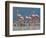 Caribbean Flamingo (Phoenicopterus Ruber) Adults Guarding Chick-Claudio Contreras-Framed Photographic Print