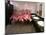 Caribbean Flamingos from Miami's Metrozoo Crowd into the Men's Bathroom-null-Mounted Premium Photographic Print