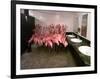 Caribbean Flamingos from Miami's Metrozoo Crowd into the Men's Bathroom-null-Framed Photographic Print