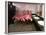 Caribbean Flamingos from Miami's Metrozoo Crowd into the Men's Bathroom-null-Framed Photographic Print