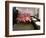 Caribbean Flamingos from Miami's Metrozoo Crowd into the Men's Bathroom-null-Framed Photographic Print