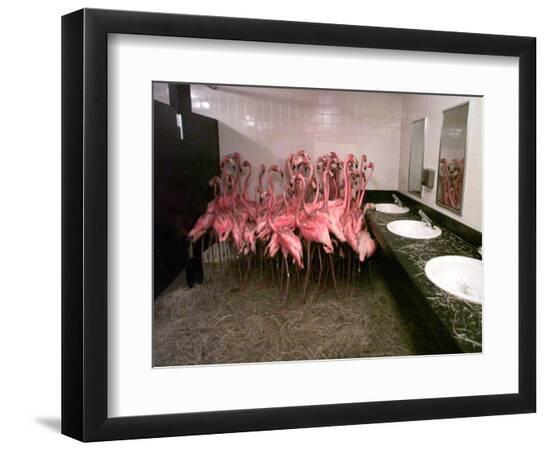 Premium Photographic Print, , large