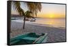 Caribbean, Grenada, Grenadines. Sunset and wooden fishing boat on Grand Anse Beach.-Jaynes Gallery-Framed Stretched Canvas