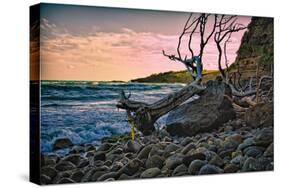 Caribbean, Grenada, Lasagesse Beach-Rona Schwarz-Stretched Canvas