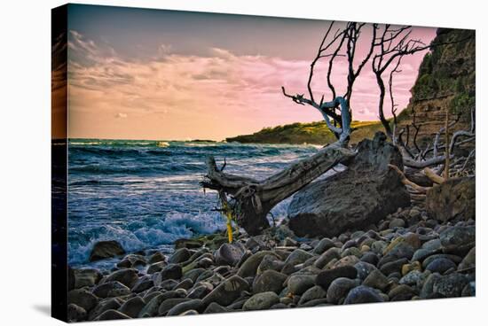 Caribbean, Grenada, Lasagesse Beach-Rona Schwarz-Stretched Canvas