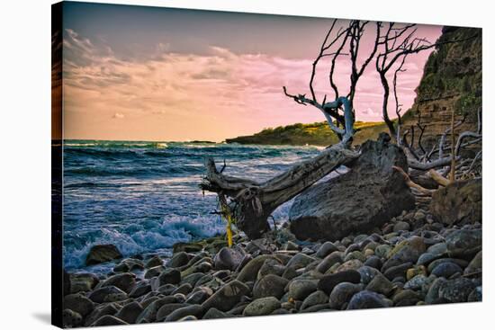 Caribbean, Grenada, Lasagesse Beach-Rona Schwarz-Stretched Canvas