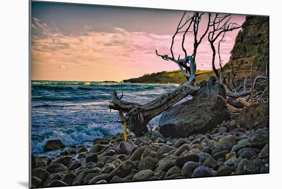 Caribbean, Grenada, Lasagesse Beach-Rona Schwarz-Mounted Photographic Print