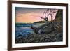 Caribbean, Grenada, Lasagesse Beach-Rona Schwarz-Framed Photographic Print