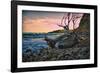 Caribbean, Grenada, Lasagesse Beach-Rona Schwarz-Framed Photographic Print