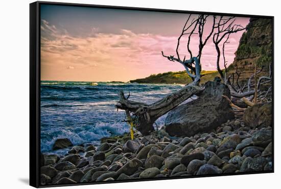 Caribbean, Grenada, Lasagesse Beach-Rona Schwarz-Framed Stretched Canvas