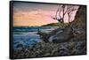 Caribbean, Grenada, Lasagesse Beach-Rona Schwarz-Framed Stretched Canvas