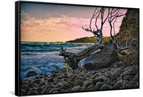 Caribbean, Grenada, Lasagesse Beach-Rona Schwarz-Framed Stretched Canvas