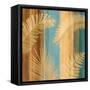 Caribbean I-John Seba-Framed Stretched Canvas