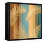 Caribbean I-John Seba-Framed Stretched Canvas