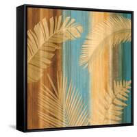 Caribbean I-John Seba-Framed Stretched Canvas