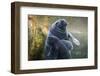 Caribbean manatee or West Indian manatee mother with baby, captive, Beauval Zoo, France-Eric Baccega-Framed Photographic Print