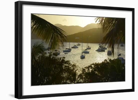 Caribbean, Marina Cay. Catamarans and Sailboats at the Anchorage-Kevin Oke-Framed Photographic Print