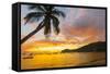 Caribbean, Martinique, Les Anse D'Arlet, Grand Anse Beach-Alan Copson-Framed Stretched Canvas