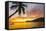 Caribbean, Martinique, Les Anse D'Arlet, Grand Anse Beach-Alan Copson-Framed Stretched Canvas