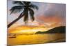 Caribbean, Martinique, Les Anse D'Arlet, Grand Anse Beach-Alan Copson-Mounted Photographic Print