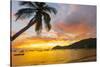 Caribbean, Martinique, Les Anse D'Arlet, Grand Anse Beach-Alan Copson-Stretched Canvas