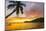 Caribbean, Martinique, Les Anse D'Arlet, Grand Anse Beach-Alan Copson-Mounted Photographic Print