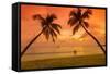 Caribbean, Martinique, Sainte Anne, Grande Anse Des Salines-Alan Copson-Framed Stretched Canvas
