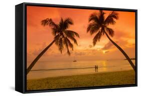 Caribbean, Martinique, Sainte Anne, Grande Anse Des Salines-Alan Copson-Framed Stretched Canvas