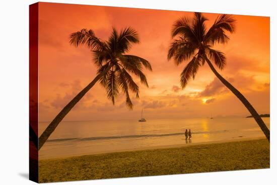 Caribbean, Martinique, Sainte Anne, Grande Anse Des Salines-Alan Copson-Stretched Canvas