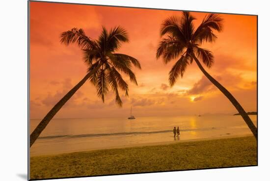 Caribbean, Martinique, Sainte Anne, Grande Anse Des Salines-Alan Copson-Mounted Photographic Print