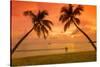 Caribbean, Martinique, Sainte Anne, Grande Anse Des Salines-Alan Copson-Stretched Canvas