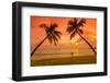 Caribbean, Martinique, Sainte Anne, Grande Anse Des Salines-Alan Copson-Framed Photographic Print