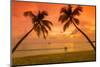 Caribbean, Martinique, Sainte Anne, Grande Anse Des Salines-Alan Copson-Mounted Photographic Print