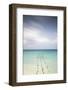 Caribbean, Netherland Antilles, Aruba, Divi beach, Pelicans on wooden posts-Jane Sweeney-Framed Photographic Print