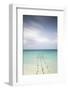 Caribbean, Netherland Antilles, Aruba, Divi beach, Pelicans on wooden posts-Jane Sweeney-Framed Photographic Print