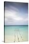 Caribbean, Netherland Antilles, Aruba, Divi beach, Pelicans on wooden posts-Jane Sweeney-Stretched Canvas