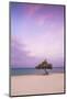 Caribbean, Netherland Antilles, Aruba, Divi Divi Tree on Eagle Beach-Jane Sweeney-Mounted Photographic Print