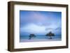 Caribbean, Netherland Antilles, Aruba, Divi Divi Trees on Eagle Beach-Jane Sweeney-Framed Photographic Print