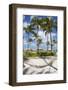 Caribbean, Netherland Antilles, Aruba, Hammock on Palm beach-Jane Sweeney-Framed Photographic Print