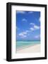 Caribbean, Netherland Antilles, Aruba, Palm beach-Jane Sweeney-Framed Photographic Print