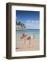 Caribbean, Netherland Antilles, Aruba, Renaissance Island, Flamingo beach-Jane Sweeney-Framed Photographic Print