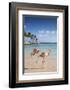 Caribbean, Netherland Antilles, Aruba, Renaissance Island, Flamingo beach-Jane Sweeney-Framed Photographic Print